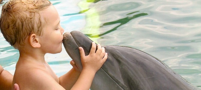 Nadar com golfinhos: Alex beijando Misty